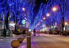 P003_ph001.jpg