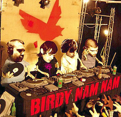 p010_birdynamnam.jpg p010_birdynamnam.jpg
