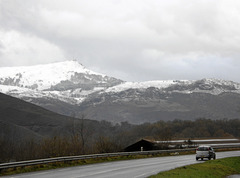 p005_ph01.jpg