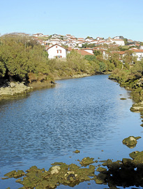 p003_onauhabia.jpg p003_onauhabia.jpg