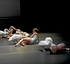 p010_ph01_43681.jpg p010_ph01_43681.jpg