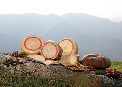 p007_01_ossau_1.jpg p007_01_ossau_1.jpg